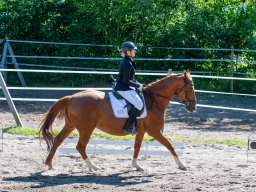 Reitertag 2026