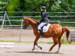 Reitertag 2026